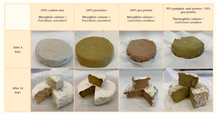 Ripening of Camembert cheese analogues depends on the plant matrix used and the starter cultures of LAB and mold.