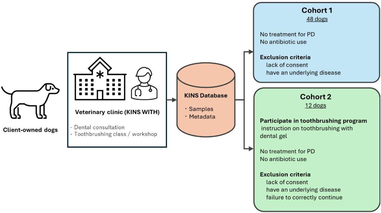 Schematic of two cohort studies