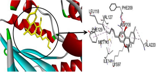 3D visualization of MEK-Tetrahydrocannabinol