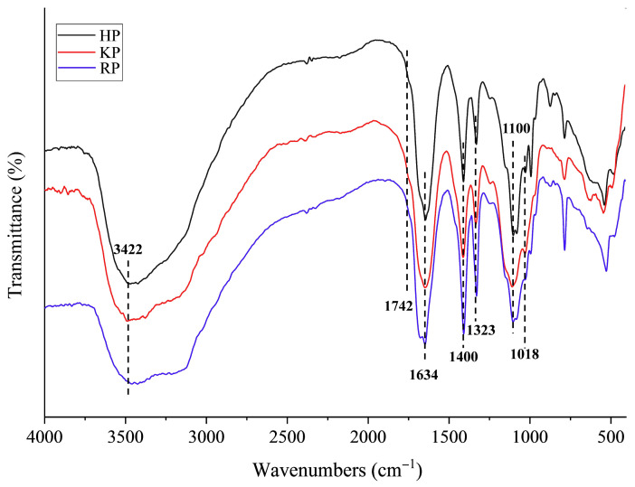 Fourier transform infrared spectroscopy (FT-IR) spectrum of pectic polysaccharides from bast fibers of hemp (HP), kenaf (KP), and ramie (RP).