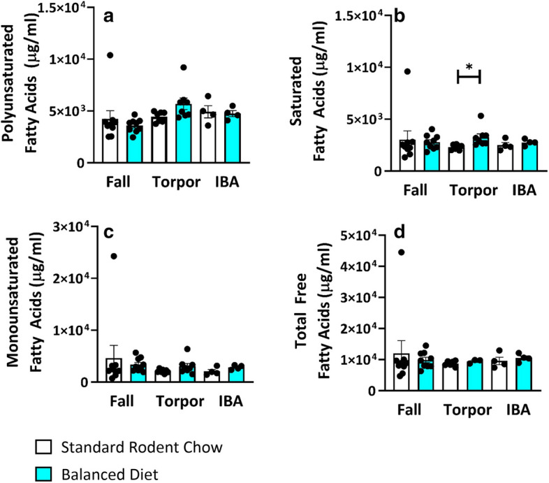 In plasma, Balanced Diet does not increase Total PUFAs (a), MUFAs (c) or Free Fatty Acids (d). Balanced Diet does increase saturated fatty acids during torpor (b). *p < 0.05, two-tailed t-test, FDR corrected. Data shown are mean ± SEM. Black dots are individual data points. Fall n = 9, Torpor n = 7–8, IBA n = 4 per diet.