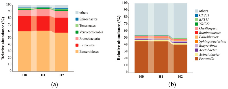 Relative abundances of dominant bacterial populations at phylum (a) and genus (b) levels after exposure to three dietary treatments. H0, without HSO supplementation group; H1, group with 100 g/d HSO supplementation; H2, group with 200 g/d HSO supplementation.