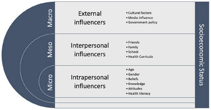 Youth health literacy framework (adapted from Wharf Higgins et al., 2009).