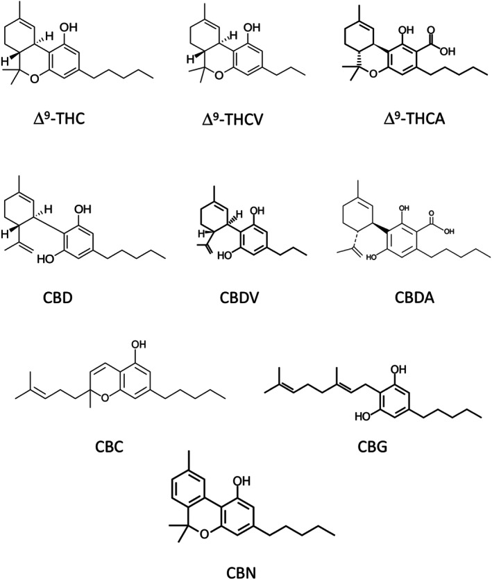 Structured and pharmacological profiles of some of the minor phytocannabinoids with cannabidiol (CBD) and tetrahydrocannabidiol (∆9‐THC) included for reference: ∆9‐tetrahydrocannabinolic acid (∆9‐THCA), ∆9‐tetrahydrocannabinolic (∆9‐THCV), cannabidivarin (CBDV), cannabidiolic acid (CBDA), cannabichromene (CBC), cannabigerol (CBG), and cannabinol (CBN)