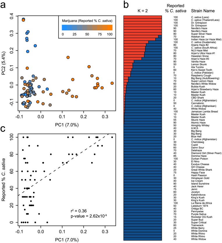 Genetic structure of marijuana.(a) PCA of 81 marijuana samples using 9,776 SNPs. Samples are colored according to their reported C. sativa ancestry. The proportion of the variance explained by each PC is shown in parentheses along each axis. (b) Population structure of marijuana calculated using the fastSTRUCTURE admixture model at K = 2. Each sample is represented by a horizontal bar, which is partitioned into two colored segments that represent the sample’s estimated membership in each of the two inferred clusters. Adjacent to each bar is the sample’s name and reported % C. sativa ancestry. (c) The correlation between the principal axis of genetic structure (PC1) in marijuana and reported C. sativa ancestry.