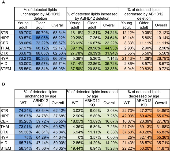 Overall effects of ABHD12 deletion and age on the brain lipidome. (A) Shows the percentage of lipids detected in brain areas from ABHD12 knockout (KO) mice that were not significantly different from wild-type (WT; % unchanged; blue), the percentage of lipids detected that significantly increased in concentration in each of the KO brain areas relative to WT (% increased; green) and the percentage of lipids detected that significantly decreased in concentration in the KO brain areas relative to WT (% decreased; orange). Percentages are shown for the comparison between WT and KO in young adult mice only (Young adult), and for the comparison between WT and KO in older adult mice only (Older adult), and for the comparison between WT and KO with younger and older adult mice combined into a single group (Overall). The darkest colors are the maximum values and the lightest are the minimum. STR, striatum; HIPP, hippocampus; CER, cerebellum; THAL, thalamus; CTX, cortex; HYP, hypothalamus; MID, midbrain; STEM, brainstem. As an example demonstrating how percentages were calculated, 70 lipids were detected in the MID. In the MID of young adult ABHD12 KO mice, 28 of these were significantly different relative to the young adult WT MID. To calculate the % unchanged, the percentage of those detected lipids that changed is subtracted from 100%. In this case, 28/70 ∗ 100% = 40%, and 100%–40% = 60%. The 60% is shown in a blue-shaded in the Figure. Of the changes in the MID, 26 of these were increases. 26/70 ∗ 100% = 37.14%, which is the % increased shown in a green-shaded cell. 2 of the changes were decreases, which is 2.86% of the detected lipids in the MID. This is shown as the % decreased in an orange-shaded cell. The %unchanged, %increased, and %decreased should total 100% when summing across a brain region. In this case, 60% + 37.14% + 2.86% = 100%. (B) Shows the percentage of lipids detected in brain areas from older adult mice that were not significantly different from younger adult mice (% unchanged; blue), the percentage of lipids detected that significantly increased in concentration in older adult brain areas relative to young adult (% increased; green) and the percentage of lipids detected that significantly decreased in concentration in the older adult brain areas relative to young adult (% decreased; orange). Percentages are shown for the comparison between young and older adult mice in wild-type mice only (WT), for the comparison between young and older adult mice in ABHD12 knockout only (ABHD12 KO), and for the comparison between young and older adult mice with WT and ABHD12 KO mice combined into a single group (Overall). The darkest colors are the maximum values and the lightest are the minimum. STR, striatum; HIPP, hippocampus; CER, cerebellum; THAL, thalamus; CTX, cortex; HYP, hypothalamus; MID, midbrain; STEM, brainstem. Percentages were calculated as above, but the number of lipids that changed with age was used instead of genotype.