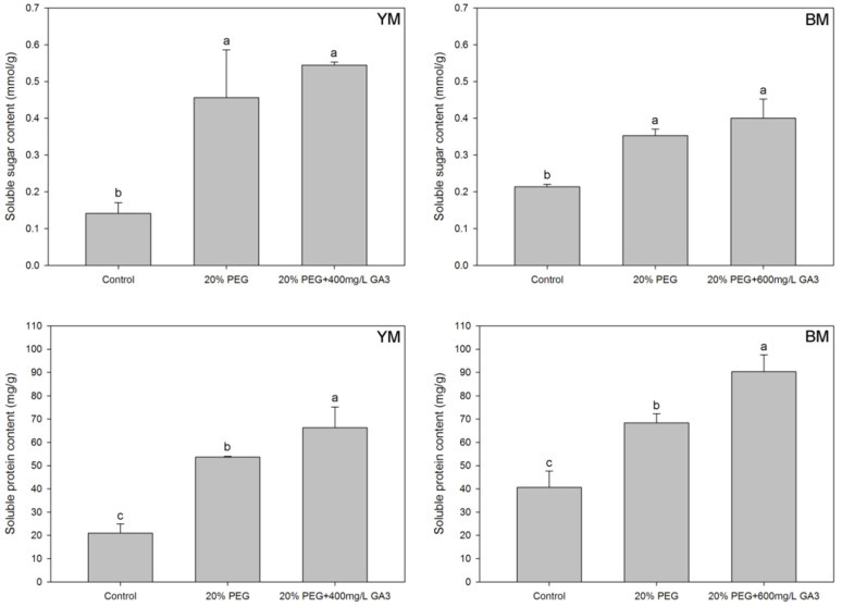 Effects of seed pre-treatment by GA3 on soluble sugar and soluble protein contents in hemp seedlings under 20% PEG condition. Different lowercases above the bars show significant difference between treatments (p < 0.05). YM: industrial hemp cultivars ‘Yunma 1’; BM: industrial hemp cultivars ‘Bamahuoma’; Control: normal germination with no drought.