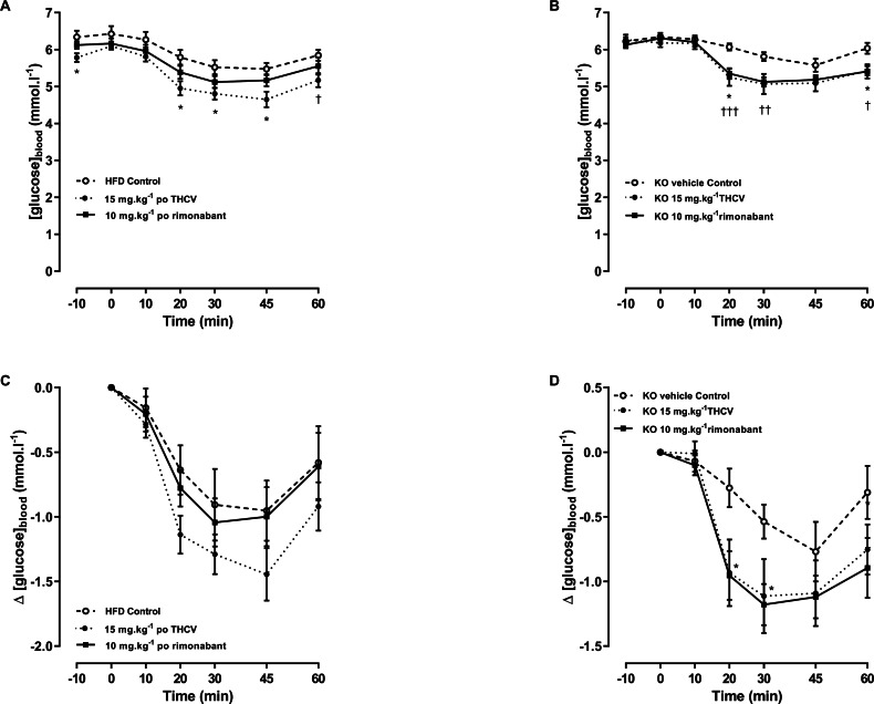 Blood glucose concentrations during an insulin tolerance test in GPR55 knockout and wild-type mice fed on a high fat diet and treated with THCV or rimonabant.In an insulin tolerance test on day 38, two-way ANOVA followed by the FDR test showed that blood glucose was lower in the THCV-treated wild-type mice before and after administration of insulin (A). There was a small non-significant overall effect of rimonabant (A). However, there was no overall effect of either drug on the fall in blood glucose after giving insulin to WT mice (C). The fall in blood glucose after giving insulin to the knockout mice reached statistical significance in the THCV-treated mice (B, D) but there was no effect of genotype on the fall in blood glucose concentration with any treatment (see Fig. 8D for absolute values). *†P < 0.05; ††P < 0.01; †††P < 0.001.