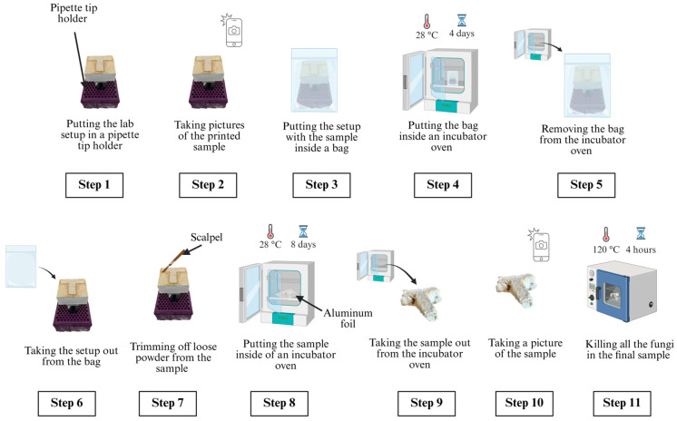 Step-by-step procedure of processing printed samples to prepare final samples.
