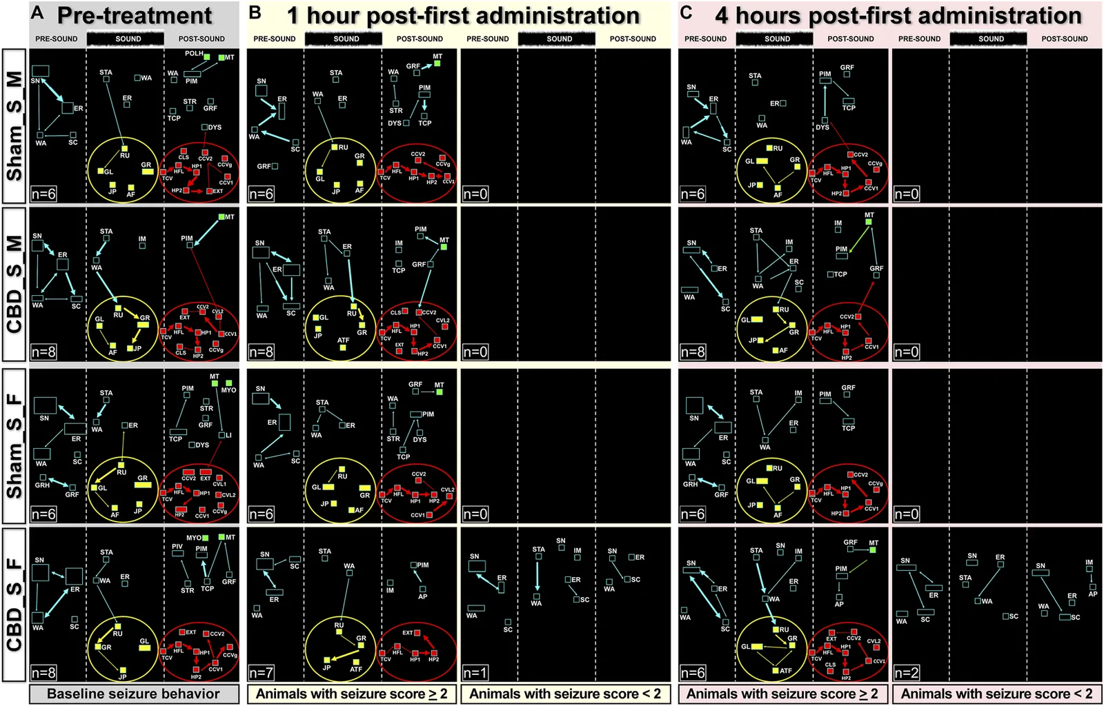 Experimental figure showing behavioral networks of animals under different conditions. Data are organized into panels A, B, and C for pre-treatment, 1 hour, and 4 hours post-administration, with rows for Sham and CBD groups separated by sex. Network diagrams illustrate baseline seizure behaviors (left column) and subsequent behaviors for animals with seizure scores greater than or equal to 2 (center) or less than 2 (right). Colored circles and arrows indicate distinct behavioral states and transitions, and numbers of animals per category are indicated. Analyses highlight treatment- and sex-specific changes in seizure behavior patterns.