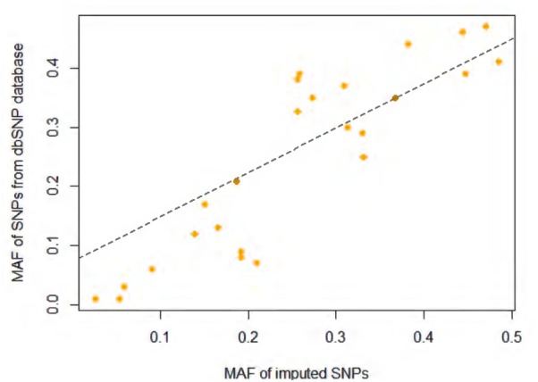 Minor allele frequency (MAF) comparison between imputed SNPs in current study and SNPs in 1000 Genome Project African population.