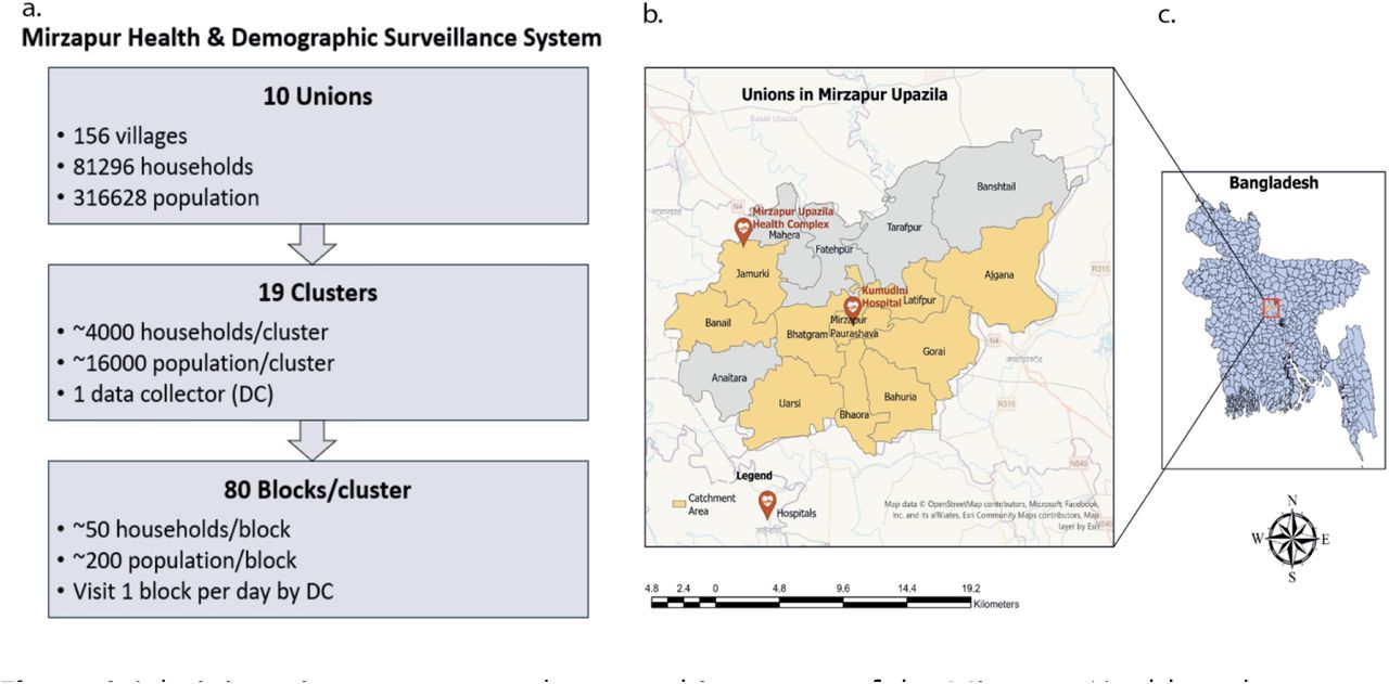 Administrative structure and geographic context of the Mirzapur Health and Demographic Surveillance System (MHDSS) in Bangladesh. (a) Sub-division of unions, clusters and blocks in the MHDSS; (b) Map of the MHDSS area with the 10 unions covered by surveillance highlighted in yellow; (c) Map of Bangladesh with a red box indicating the location of Mirzapur.Alt text:Diagram of the Mirzapur Health and Demographic Surveillance System administrative structure with 10 unions subdivided into 19 clusters of 80 blocks, the MHDSS area map highlighting Surveillance unions in yellow, and a map of Bangladesh with a red box marking the location of Mirzapur.