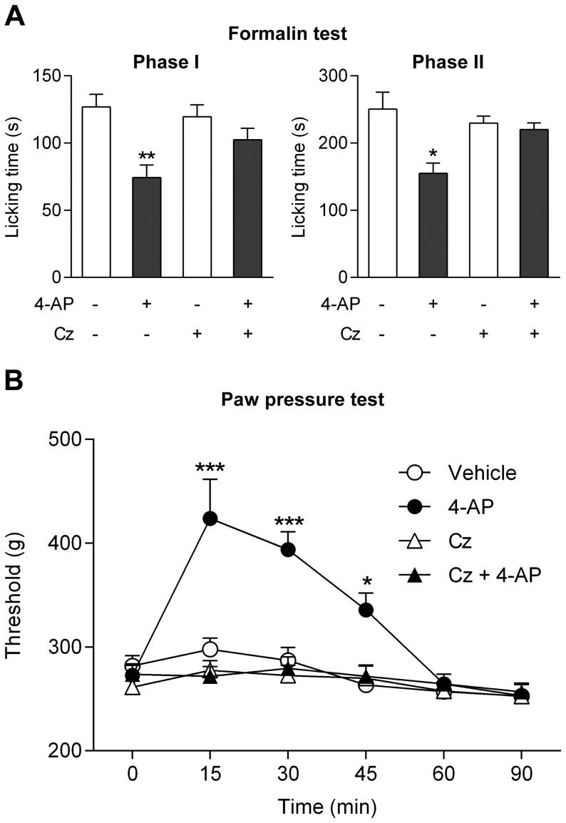 The antinociceptive effect of 4-aminophenol is dependent on TRPV1 in the rat.The TRPV1 blocker capsazepine (10 mg/kg) prevented the antinociceptive effect of 4-aminophenol (100 mg/kg) in the rat formalin (A; n = 7–10) and paw pressure (B; n = 6–8) tests. Capsazepine (Cz) and 4-aminophenol were injected by the intraperitoneal route 30 min and 10 min before the tests, respectively. *p<0.05, **p<0.01 and ***p<0.001 when compared to vehicle injection, using Mann-Whitney U test (A) or repeated measures two-way ANOVA followed by Sidak’s multiple comparisons test (B).
