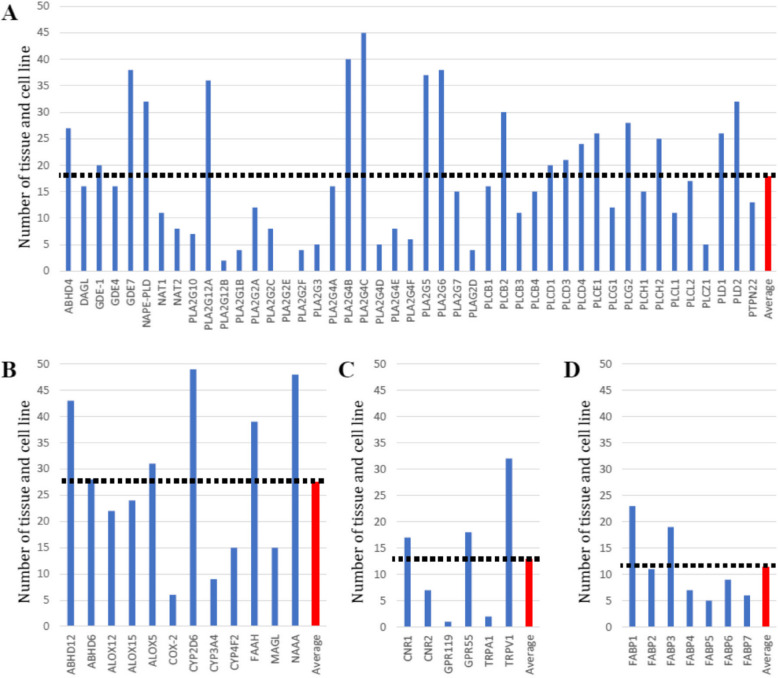 Tissue and cell line in which the ECS genes were associated with significant eQTL in GTEx database. Analysis of individual genes in different tissues indicated the genetic regulation of some genes was more common than others. This analysis was split by genes that encode A) Synthesising genes, B) Catabolising genes, C) Receptor genes and D) Transporter genes. The read bar and dotted line indicate the Mean number of eQTLs for each tissue