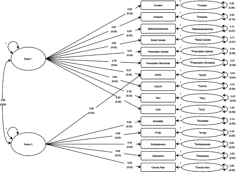 Path diagram for genomic structural equation modeling for confirmatory factor analysis (CFA) results of the two-factor model. The diagram presents the results of the correlated two-factor CFA model of 15 substance use, psychiatric, and chronic pain traits for European ancestry participants. Standardized estimates are provided for each path with standard errors included in parentheses.