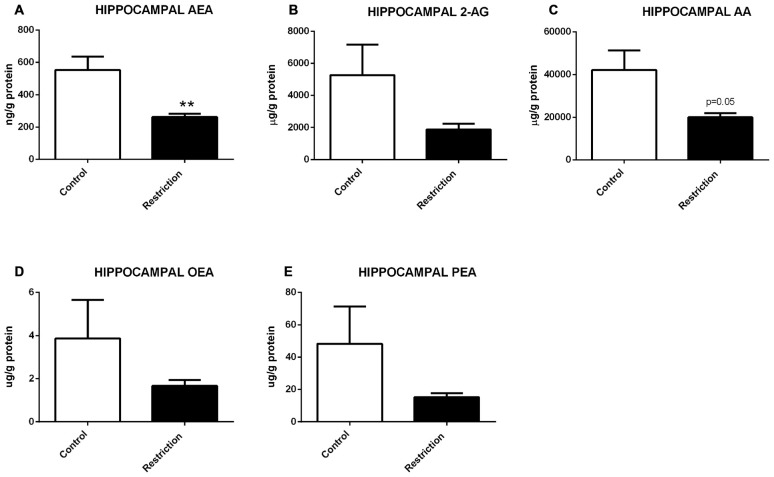 Hippocampal endocannabinoid and NAE levels in male offspring at birth. (A) Anandamide (AEA), (B) arachidonoylglycerol (2-AG), (C) Arachidonic acid (AA), (D) oleoylethanolamide (OEA), and (E) palmitoylethanolamide (PEA) in the hippocampus of male offspring from control dams (open bars) and calorie-restricted dams (solid bars) at birth. **p < 0.01.