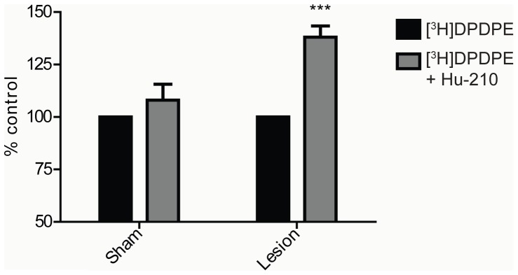 DOR binding is enhanced in the presence of low dose CB1R ligand in cortical membranes.Membranes from cortices of sham and lesioned animals were treated with 0.5 nM [3H]DPDPE in the presence or absence of 1 pM Hu-210 for 1 hour. Ligand binding assay was carried out as described in “Methods” and [3H]DPDPE binding to membranes was detected using a scintillation counter. Data represent Mean ± SEM (n = 7 animals/group). Statistically significant differences between [3H]DPDPE alone and [3H]DPDPE+1 pM Hu-210 are indicated ***, p<0.001, (t test).