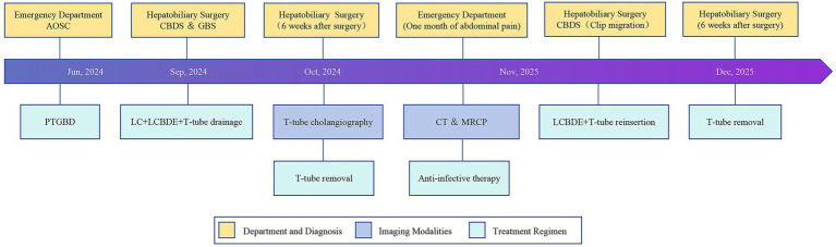 Flowchart showing a medical timeline from June 2024 to December 2025 with stages for department and diagnosis, imaging modalities, and treatments for hepatobiliary conditions, including surgeries, imaging tests, and T-tube management.