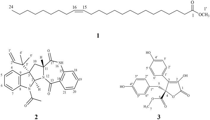 Chemical structure of isolated metabolites from Aspergillus neoniveus.