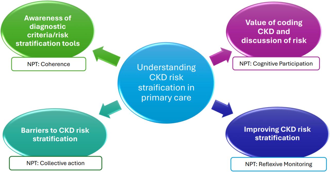 Key themes and related NPT constructs