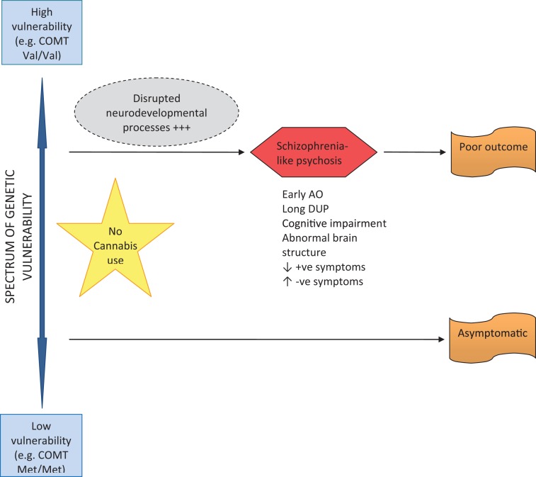 Pathway to psychosis in non-cannabis users.