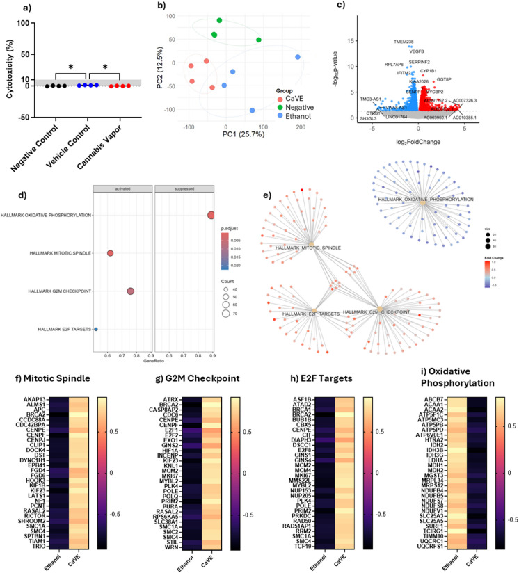 CaVE alters metabolism and cell growth pathways in pseudo-ALI cultures. (a) Cytotoxicity of CaVE, volume-equivalent ethanol control and negative control in pseudo-ALI cultures. (b) PCA of transcriptional data from pseudo-ALI A549 cultures treated with CaVE, vehicle control, or negative control. (c) Volcano plot of the transcriptional response of CaVE versus vehicle control in pseudo-ALI A549 cells. (d) GSEA of significantly enriched pathways in response to CaVE. (e) Cnetplot showing gene similarities and overlaps among the top enriched pathways. (f–i) Heatmaps with z-scores of genes involved in the top enriched pathways, including Mitotic Spindle (f), G2M Checkpoint (g), E2F Targets (h), and Oxidative Phosphorylation (i)