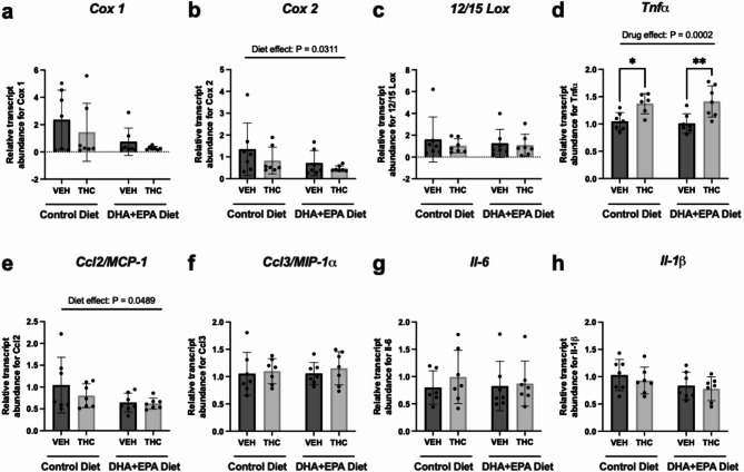 Maternal THC and DHA + EPA-enriched diet differentially alters transcript abundance of cytokines in PND21 vehicle and THC-exposed offspring. RT-qPCR was used to measure relative transcript abundance of major enzymes that generate lipid mediators namely, (a) Cox 1, (b) Cox 2 and (c) 12/15 Lox, as well as major inflammatory cytokines such as, (d) Tnfα, (e) Ccl2, (f) Ccl3, (g) Il-6 and (h) Il-1β. All targets were normalized to both β-actin and Gapdh. Data is represented as means mean ± SD, n = 7/treatment group. Each data point represents a male offspring heart from a single and different dam. Significance was determined by two-way ANOVA post-hoc Tukey’s. *P < 0.05, **P < 0.01. Significant diet effect (control diet vs. DHA + EPA diet), drug effect (VEH vs. THC) and interaction are labelled at the top of respective graphs, where applicable.
