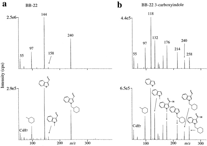 Product ion spectra for the detection of BB-22 (a), where the reference standard at 10 ng/mL in methanol is shown in the upper panel and the extract from serum in case 2 in the lower panel. Product ion spectra for BB-22 3-carboxyindole (b), where the reference standard at 100 ng/mL in methanol is shown in the upper panel and the extract from hydrolyzed urine in case 2 in the lower panel. The collision energies for BB-22 and its 3-arboxyindole metabolite were 51 and 29 eV, respectively