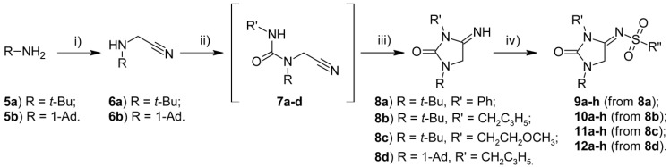 Reagents and conditions: (i) CH2O, KCN, H+, H2O; (ii) PhNCO (R′ = Ph) or triphosgene, Et3N, R′NH2, CH2Cl2; (iii) NaOH 10 M, MeOH, Δ; (iv) R″SO2Cl, Et3N, CH2Cl2.