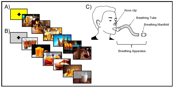 Depiction of the cue reactivity paradigm paired with interoceptive breathing load. (A) A yellow fixation screen is presented to the participant, indicating that there is a 1 in 4 chance they will experience the breathing load during the upcoming block of pictures. The fixation screen is immediately followed by 6 images—in this case, alcohol-related cue images. (B) A grey fixation screen is presented to the participant indicating that there is no chance they will experience the breathing load during the upcoming block of pictures. The fixation screen is immediately followed by 6 images—in this case, substance-matched comparison images. (C) Each participant wears the breathing apparatus while in the fMRI machine. They wear a nose clip to ensure they breathe through the tube only and a breathing manifold is attached at the end of the tube for periods of 40 s as indicated by the paired cue reactivity task.