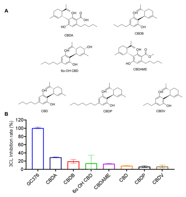The chemical structures of the CBD-type of cannabinoids (A) and their inhibitory effect on the activity of SARS-CoV-2 Mpro (B). These cannabinoids were tested at a concentration of 10 μM with the MBP-tagged SARS-CoV-2 Mpro inhibition assay. GC376 was used as the positive control and each test compound was assayed in triplicates.