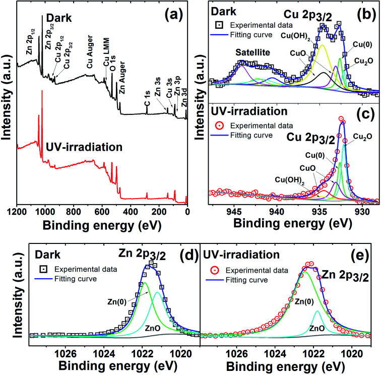 (a) Overall XPS spectrum with identified characteristic peaks for MicroCuZn in dark and when UV irradiated over 12 h in deionized water. Deconvoluted XPS spectra for Cu 2p3/2 region in (b) dark and when (c) UV-irradiated. Deconvoluted XPS spectra for Zn 2p3/2 region in (d) dark and when (e) UV-irradiated.