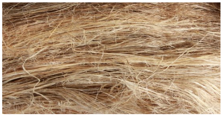 Hemp fiber.
