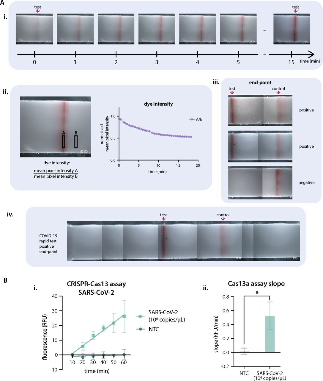 The NTDscope can be used to image lateral flow test strips and CRISPR-Cas molecular assaysA Lateral flow assays imaged on the NTDscope. A.i. Time series (15 min) of the test line on a COVID-19 antigen test, tested on a positive patient. A.ii. Measurement of the dye intensity over time, of the test line shown in A.i., calculated by dividing the mean pixel intensity of a rectangular region of interest (ROI) over the test line by an ROI outside of the test line. Pixel intensity was measured using Fiji (ImageJ). A.iii. End-point images after 15 minutes for three COVID-19 tests (2 positive, 1 negative), showing the test and control lines. A.iv. Scan of the entire COVID-19 test strip, showing the control and test bands for a positive patient after 15 minutes. B Results of a CRISPR-Cas13 assay run on NTDscope. B.i. Measurement of fluorescence intensity over time for a Cas13 assay with a guide RNA specific to SARS-CoV-2, in the presence (SARS-CoV-2 1e6 copies/µL) and absence (non-target control — NTC) of synthetic SARS-CoV-2 RNA. Fluorescence intensity was measured during the first 60 minutes of assay time, measurements were acquired every 10 minutes. The data from the first 10 minutes was discarded to allow assay components to equilibrate to temperature. Experiment performed in triplicate. B.ii. Slopes of the curves calculated by performing simple linear regression of the data for each replicate of B.i., slopes of the positive samples were compared to the no target RNA controls (NTC) using an unpaired t-test. * is p≤0.05. Data were processed and visualized using GraphPad Prism 10.