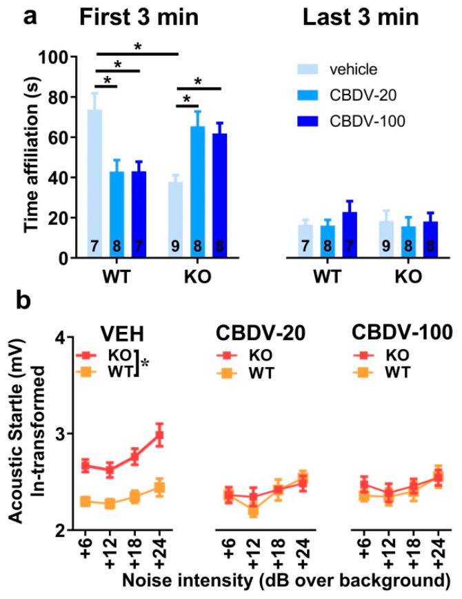 Effects of juvenile chronic CBDV treatment on social interaction and acoustic startle response (Study 2). Time spent performing direct affiliative behaviors (including sniffing and contact) towards an unfamiliar adult NMRI female mouse was assessed during the first and second 3 min time bins of a 6 min interaction session (a). Body startle (ln-transformed to meet the normality assumptions of parametric ANOVA) was measured in response to acoustic stimuli of 6, 12, 18 and 24 dB over a background of 66 dB (b). Data are expressed as mean ± SEM. Numbers in histograms indicate sample size for each group. * p < 0.05 from post hoc comparisons following a significant interaction (a) or from separate ANOVAs in each treated group (b).