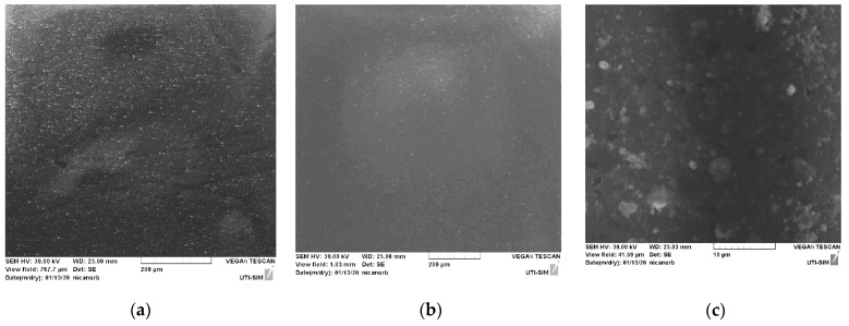 SEM images of oyster shell 250× magnified (a), PLD thin film 200× magnified (b) and PLD thin film 5k× magnified (c).