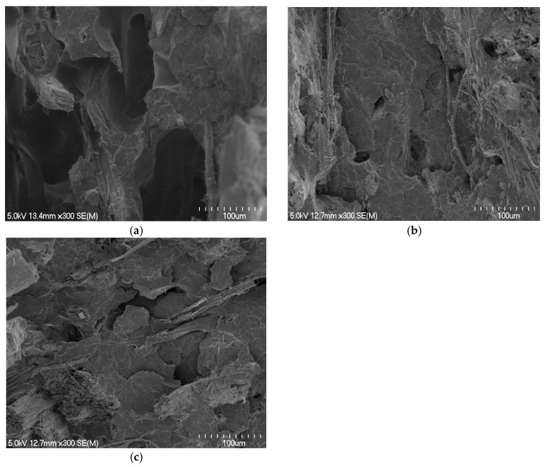 Scanning electron micrographs of tensile fracture surfaces of composites containing approximately 40 wt% fibre contents made with polymer sheets of: (a) 0.66, (b) 0.56, and (c) 0.29 mm.
