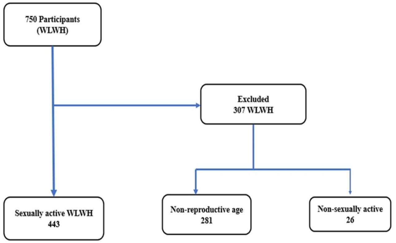 Flow Chart Illustrating the Eligibility Process to Obtain The Final Sample For Analysis of Sexually Active WLHIV