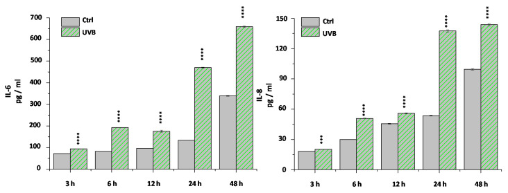 Time course of cytokine secretion after UVB irradiation from HCEC cells. ELISA determination of IL-6 and IL-8 in the supernatant of human corneal epithelial cells following UVB irradiation at the marked time points. Data are expressed as mean ± SD of three independent determinations. ***, **** mark significant (p < 0.001, 0.0001, respectively) changes compared to the relevant time-matched control group.