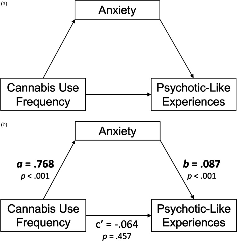 (a) Conceptual model of the simple mediation model. (b) N = 1,251. Path diagram of the simple mediation model.