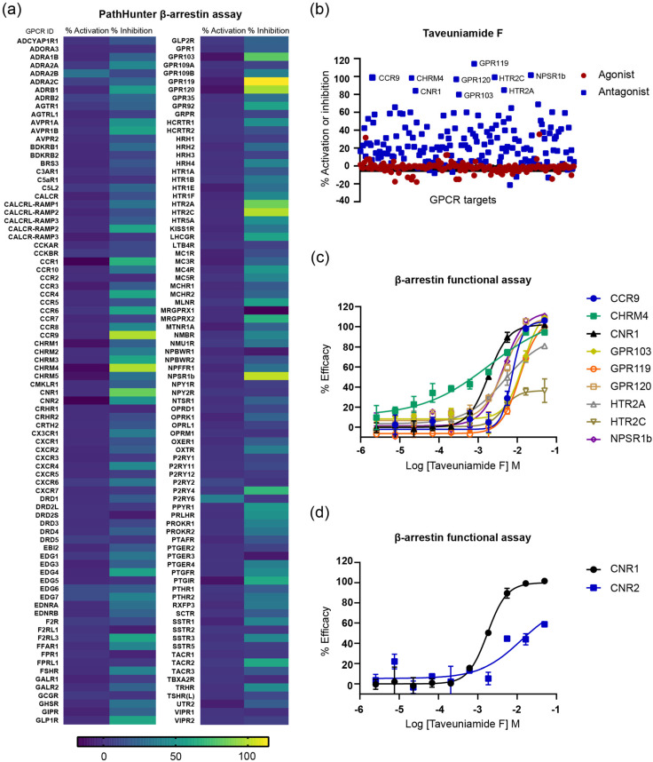 GPCR profiling of taveuniamide F (4) using cell-based functional screen (β-arrestin pathway). (a) Heatmap showing the screening of 4 (20 μM) against 168 GPCR targets in agonist (% activation) and antagonist mode (% inhibition). (b) Scatter plot of targets screened at 20 μM of 4. Hits identified in the screen with ≥75% activity or inhibitions are labeled. (c) Dose–response curve of 4 against GPCR hits identified in the PathHunter β-arrestin primary screen. (d) Dose–response curve of 4 against CNR1 and CNR2. The experiments were carried out as technical duplicates. Data are presented as mean ± SD (n = 2).