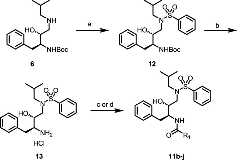 Synthesis of Compounds 11b–j a Reagents and conditions: (a) benzenesulfonyl chloride, NaHCO3, DCM, H2O, 0 °C–r.t., 64%; (b) HCl, 1,4-dioxane, r.t., 95%; (c) substituted alcohol, disuccinimidyl carbonate, pyridine, TEA, MeCN, r.t., 39–66%; (d) substituted carboxylic acid, HATU, DIPEA, DCM, r.t., 41–82%.