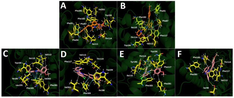Predicted binding mode and predicted intermolecular interactions among the amino acids of the CB2 active site receptor and selected synthesized derivatives. Yellow dotted lines indicates hydrogen bond interactions, cyan dotted lines represents π-π interactions, magenta dotted lines represents T-shaped interactions, red dotted lines represents π-cation interactions. (A). Aminoalkylindole WIN-55,212-2; (B). Aminoalkylindole AM630; (C). Compound 3a; (D). Compound 3b’; (E). Compound 3c; and (F). Compound 4b.