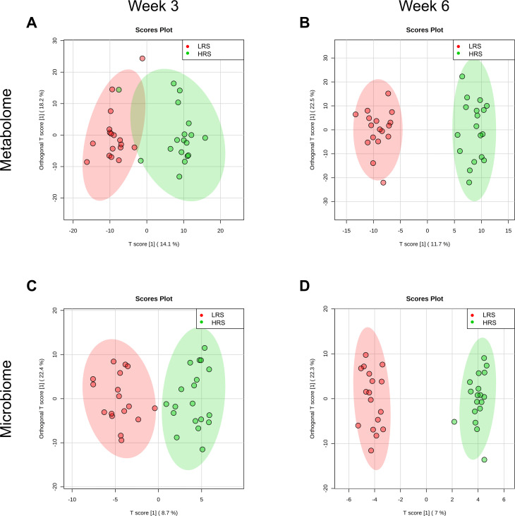 Orthogonal partial least squares analysis of whole fecal differences at weeks 3 and 6 between LRS and HRS food-fed cats for the metabolome (A,B) and microbiome (C,D). Shading indicates 95% confidence regions. Metabolome permutation statistics at week 3 were: Q2 = 0.38, P < 0.001; R2Y = 0.80, P = 0.014 and at week 6 were: Q2 = 0.86, P < 0.001; R2Y = 0.96, P < 0.001. Microbiome permutation statistics at week 3 were: Q2 P < 0.001; R2Y P = 0.059 and at week 6 were: Q2 P < 0.001; R2Y P = 0.056. HRS, high resistant starch; LRS, low resistant starch.