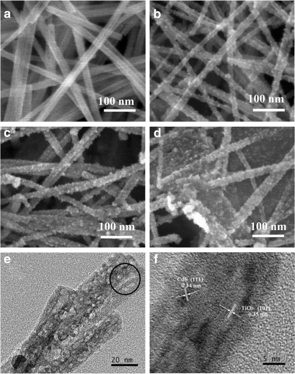 SEM, TEM, and HRTEM images of the TiO2 NWs and CdS(4,6,10)-TiO2 NWs. (a) SEM image of pure TiO2 NWs. (b) SEM image of CdS(4)-TiO2 NWs. (c) SEM image of CdS(6)-TiO2 NWs. (d) SEM image of CdS(10)-TiO2 NWs. (e) TEM image of CdS(4)-TiO2 NWs. (f) HRTEM lattice fringes of CdS(4)-TiO2 NWs.