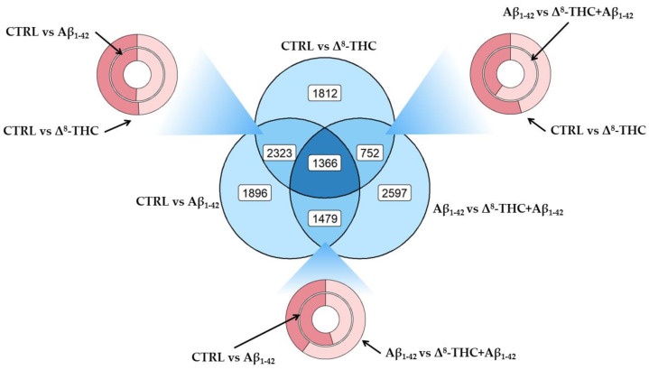 DEGs distribution between CTRL vs. Aβ1-42, CTRL vs. Δ8-THC groups or Aβ1-42 vs. Δ8-THC + Aβ1-42. Venn diagram in the center of the plot highlights the amount of DEGs found exclusively in each comparison (outer circles), how many DEGs found in two groups but not in the other (intersection of two circles) or how many DEGs were found in each comparison (center of the diagram). Each donut plot highlights, in turn, the intersection of two comparisons showing in dark red the upregulated and in the light red the downregulated DEGs.