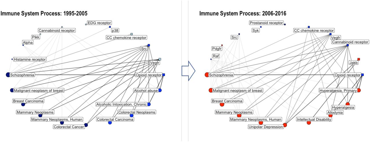 Network graph showing the connectivity of GPCRs/kinases and diseases annotated to the GO biological process “immune system process” for the time periods (from left to right): 1995-2005 and 2006-2016. Circles correspond to disease annotations; squares correspond to protein classes; only the top 10 target classes (from the merged kinase-GPCR data set) and top 10 disease annotations are shown (with respect to percentage of total bioactivities); the size of the circle/square as well as the thickness of the connecting lines is correlated to the percentage of bioactivities associated with this disease/protein class; the color code is reflecting the number of available drug-efficacy target annotations (light blue: 0; blue: 1-5; navy: 6-10; red >10). Alpha: AGC protein kinase PKC alpha subfamily; Jakb: Tyrosine protein kinase JakB family; p38: CMGC protein kinase p38 subfamily; Pdgfr: Tyrosine protein kinase PDGFR family; Pikk: Atypical protein kinase PIKK family; Raf: TKL protein kinase RAF family; Src: Tyrosine protein kinase Src family; Syk: Tyrosine protein kinase Syk family; Vegfr: Tyrosine protein kinase VEGFR family.