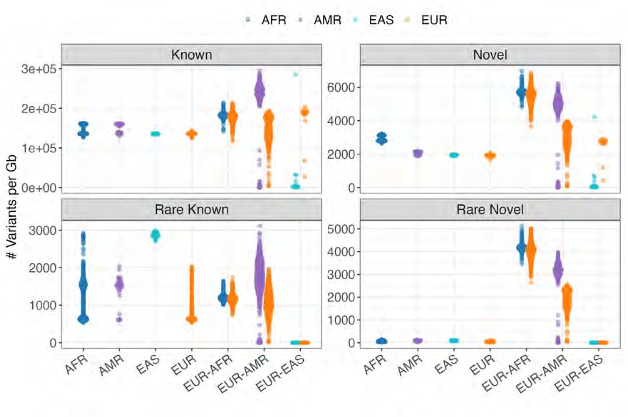 Distribution of known and novel variants across ancestral backgrounds.Violin plots show the density distribution of variants per gigabase (Gb) across different ancestry groups. Top panels show all variants while bottom panels show rare variants (alternate allele frequency <1%). Left panels display known variants (present in reference databases) and right panels show novel variants (absent from major databases like gnomAD, 1000 Genomes, and HGDP). Ancestry categories include African (AFR), American (AMR), East Asian (EAS), European (EUR), and admixed groups (EUR-AFR, EUR-AMR, EUR-EAS). Note the elevated number of novel variants in admixed populations, particularly in EUR-AFR and EUR-AMR groups.