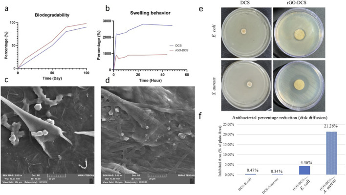 Figure with six panels comparing characteristics of DCS and rGO-DCS materials. Panel a: line graph showing higher biodegradability percentage over ninety days for both materials. Panel b: line graph showing DCS has much higher swelling percentage than rGO-DCS over forty-eight hours. Panels c and d: scanning electron microscope images of surfaces with different microstructures for each sample. Panel e: four petri dishes with visible inhibition zones, larger for rGO-DCS against E. coli and S. aureus. Panel f: bar chart quantifying inhibited area, showing rGO-DCS much more effective against S. aureus (twenty-one point twenty-six percent).