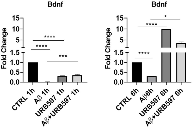 mRNA expression of Bdnf was evaluated by qRT-PCR at 1 h and 6 h. Data are shown as mean ± SD from three independent experiments performed in triplicate. Expression profiles were determined using the 2−ΔΔCT method. * p < 0.05, *** p < 0.001, **** p < 0.0001.